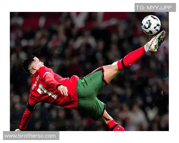 揭秘65号背后的足球明星是谁及其辉煌成就与传奇故事