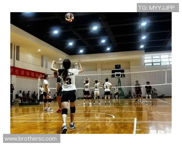 排球意识排行榜揭晓北京排球队荣获第三名展现实力与团队精神