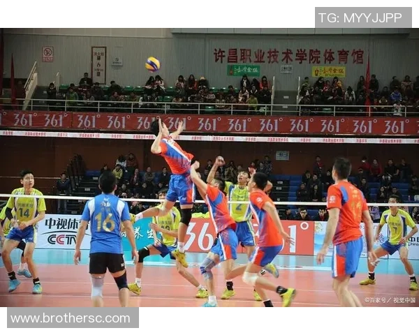 武汉排球队团队协作深度分析与其他球队的对比研究