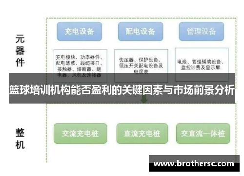 篮球培训机构能否盈利的关键因素与市场前景分析